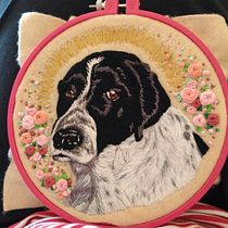 Mi Proyecto no es un petirojo. Embroider project by sofia.valenzuela - 03.17.2021