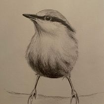 Artistic Watercolor Birds course. Traditional illustration, Naturalistic Illustration, and Watercolor Painting project by Svetlana - 03.17.2021