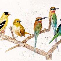 Mi Proyecto del curso: Acuarela artística para ilustración de aves. Artistic Drawing, Naturalistic Illustration, and Watercolor Painting project by Nadia Ham - 03.18.2021