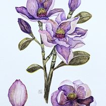 Meu projeto do curso: Aquarela botânica: ilustre a anatomia das flores 🌷 . Un proyecto de Bellas Artes de Agatha Teixeira - 18.03.2021