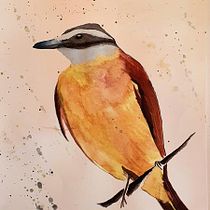 Meu projeto do curso: Técnicas expressivas de aquarela para ilustração de pássaros. Fine Arts project by Gabriel Gimenez - 03.19.2021