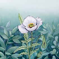 My project in Negative Watercolor Painting for Botanical Illustration course Ein Projekt aus dem Bereich Aquarellmalerei von ellestaples - 19.03.2021