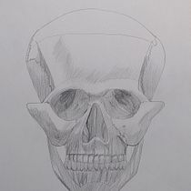 Mi Proyecto del curso: Dibujo anatómico de la cabeza humana.  project by ursulanp - 03.21.2021