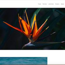 Mi Proyecto del curso: Creación de una página web en Squarespace. Fotografia artística projeto de stelita.mar - 22.03.2021