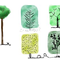 Il mio progetto del corso: Disegno per principianti livello -1. Drawing project by angela marchesani - 03.22.2021