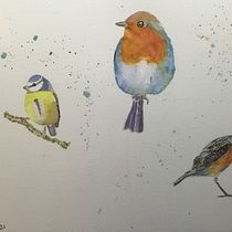 My project in Artistic Watercolor Techniques for Illustrating Birds course. Watercolor Painting project by tony.mitchell - 03.26.2021
