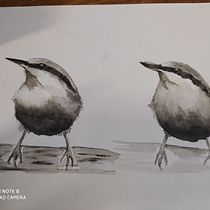 Mi Proyecto del curso: Acuarela artística para ilustración de aves. Watercolor Painting project by veronica_araucaria - 03.23.2021