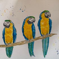 My project in Artistic Watercolor Techniques for Illustrating Birds course. Watercolor Painting project by Kari Egan - 03.23.2021