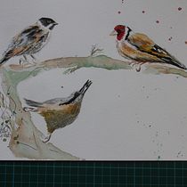 My project in Artistic Watercolor Techniques for Illustrating Birds course. Watercolor Painting project by Peter Downey - 03.24.2021