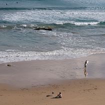 Mares de gente. Photograph, and Outdoor Photograph project by Paula Satizábal - 03.24.2021