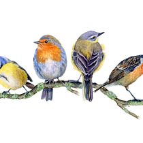 My project in Artistic Watercolor Techniques for Illustrating Birds course. Un proyecto de Pintura a la acuarela de Lea Morgan - 24.03.2021