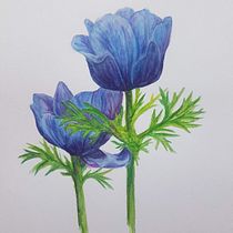 My project in Botanical Illustration with Watercolors course. Pintura em aquarela, Desenho artístico, Ilustração botânica, e Desenho projeto de Esther Middel - 25.03.2021
