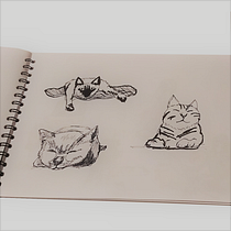 Mi Proyecto del curso: Dibujo para principiantes nivel -1. Drawing project by fr3t - 03.26.2021