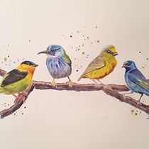 Final project in Artistic Watercolor Techniques for Illustrating Birds. Watercolor Painting project by yeriipadilla - 03.26.2021
