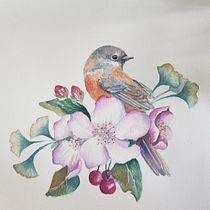 My project in Naturalist Illustrations with Watercolors: Drawing and Composition course. 3D project by Jenny Foreman - 03.27.2021