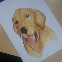 Mi Proyecto del curso: Simba, un perro labrador. Watercolor Painting project by magdalenafrigeriolorca - 03.28.2021