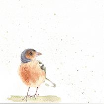 Mi Proyecto del curso: Acuarela artística para ilustración de aves. Naturalistic Illustration, and Drawing project by Teresa Canyelles Isern - 03.30.2021