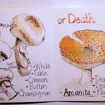 My project in Botanical Watercolor Sketchbook course. Un progetto di Pittura ad acquerello di Marilyn Allen - 10.04.2021