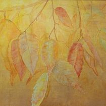 Mi Proyecto del curso: Técnicas de acuarela en negativo para ilustración botánica Ein Projekt aus dem Bereich Botanische Illustration, Traditionelle Illustration und Aquarellmalerei von Emilce Gomez - 19.03.2021