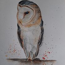 My project in Artistic Watercolor Techniques for Illustrating Birds course. Projekt z dziedziny Malowanie akwarelą użytkownika Zita Csapó - 31.03.2021