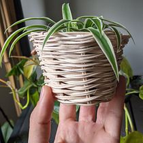 Mi Proyecto del curso: Técnicas de cestería contemporánea aplicada a la moda Ein Projekt aus dem Bereich H, werk, Erweiterungsentwicklung und Produktdesign von Milena Caceres Espinosa - 31.03.2021