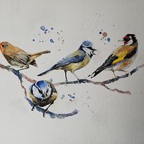 My project in Artistic Watercolor Techniques for Illustrating Birds course. Projekt z dziedziny Malowanie akwarelą użytkownika handelmeva - 01.04.2021
