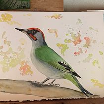 Mi Proyecto del curso: Acuarela artística para ilustración de aves. Projekt z dziedziny Malowanie akwarelą użytkownika Juan - 02.04.2021