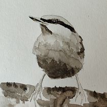 Mon projet du cours : Aquarelle artistique pour l'illustration d'oiseaux. Traditional illustration, Watercolor Painting, Realistic Drawing, and Naturalistic Illustration project by mathmika - 04.02.2021
