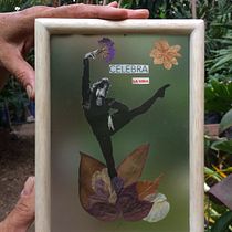 Secretos del Bosque. Collage project by Sylvanna Cassalins - 04.07.2021
