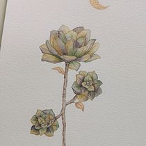 Mein Abschlussprojekt: Schöpfung von Farbpaletten mit Aquarell. Watercolor Painting project by viola109 - 04.03.2021