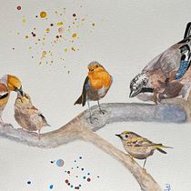 My project in Artistic Watercolor Techniques for Illustrating Birds course. Projekt z dziedziny Malowanie akwarelą użytkownika babette_dobbenie - 04.04.2021