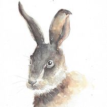 Coni. Naturalistic Illustration project by montseredondo - 04.05.2021