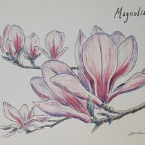 Mi Proyecto del curso: Cuaderno botánico en acuarela. Un progetto di Belle arti, Illustrazione tradizionale, Illustrazione botanica e Pittura ad acquerello di Davina Greeves - 05.04.2021