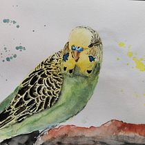 My project in Artistic Watercolor Techniques for Illustrating Birds course. Projekt z dziedziny Malowanie akwarelą użytkownika andreasferdinand - 05.04.2021