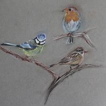 Feathery friends. Projekt z dziedziny Ilustracja naturalist, czna i Malowanie akwarelą użytkownika Jo Sheridan - 05.04.2021