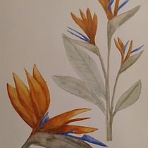 Mi Proyecto del curso: Acuarela botánica: ilustra la anatomía de las flores. Un progetto di Illustrazione botanica e Pittura ad acquerello di Barbara Luppo Basualdo - 06.04.2021