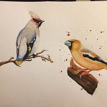 My project in Artistic Watercolor Techniques for Illustrating Birds course. Watercolor Painting project by rosalynb8472 - 04.06.2021