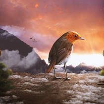 Palco. Matte Painting project by Cesar Wakabayashi - 04.21.2021