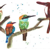 Four Sri Lankan birds. Watercolor Painting project by Marion Moffatt - 04.07.2021