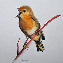 Mein Kursprojekt: Illustriere Vögel mit expressiven Aquarelltechniken . Watercolor Painting project by Scarlett Gnad - 04.07.2021