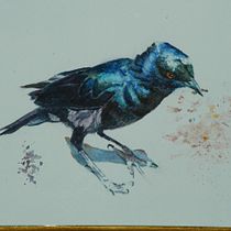 My project in Artistic Watercolor Techniques for Illustrating Birds course. Watercolor Painting project by K W - 04.07.2021