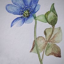 Frösche. Pintura em aquarela projeto de Scarlett Gnad - 07.04.2021