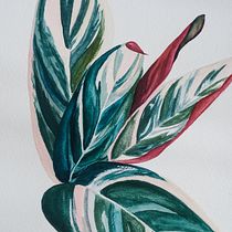 Meu projeto do curso: Aquarela botânica: Maranta Tricolor. Un progetto di Illustrazione botanica di Vanessa Pollo Burtet - 09.04.2021