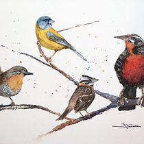My final project. 4 Typical chilean birds: Chucao, Cometocino, Chincol and Loica (from left to right). I painted this about 2 months ago but didn't have the time to upload it and thank Sarah for the course.. Watercolor Painting, Traditional illustration, Realistic Drawing, and Naturalistic Illustration project by Juan Pablo Garcia - 04.08.2021