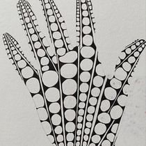Il mio progetto del corso: Disegno per principianti livello -1. Drawing project by giuliapancot78 - 04.09.2021