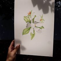 Meu projeto do curso: Ilustração botânica com aquarela. Pintura em aquarela projeto de Aline de Souza Maciel - 14.04.2021