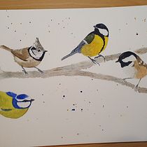A tree full of tits! :-). Watercolor Painting project by Sally Northeast - 04.10.2021