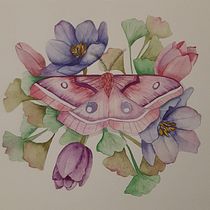 questi i miei compiti, sono soddisfatta insegnante bravissima. Watercolor Painting project by Daniela Scalco - 04.12.2021