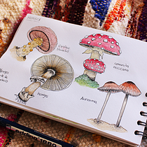Mi Proyecto del curso: Cuaderno botánico en acuarela ASI VA MI CUADERNO BOTANICO :). Ilustração botânica projeto de Natalia Molina Rico - 11.04.2021