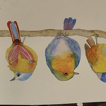 Mi Proyecto del curso: Acuarela artística para ilustración de aves. Traditional illustration project by Sofia Espinola - 04.12.2021